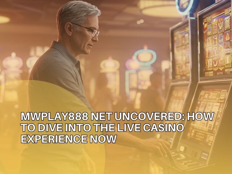 Mwplay88 Net